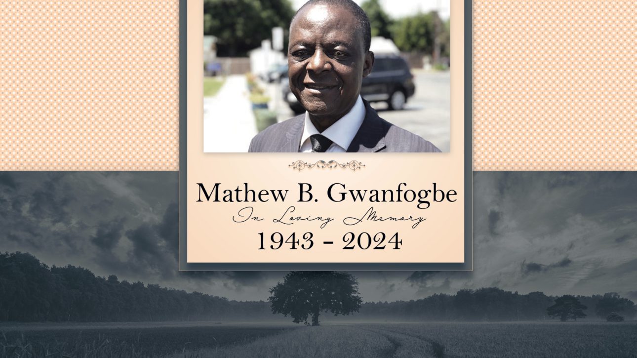 Professor Mathew B. Gwanfogbe