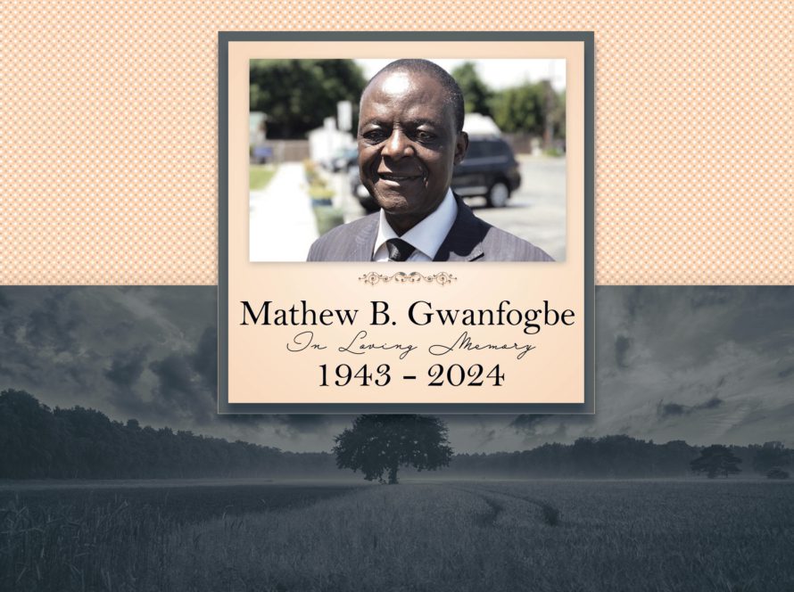 Professor Mathew B. Gwanfogbe