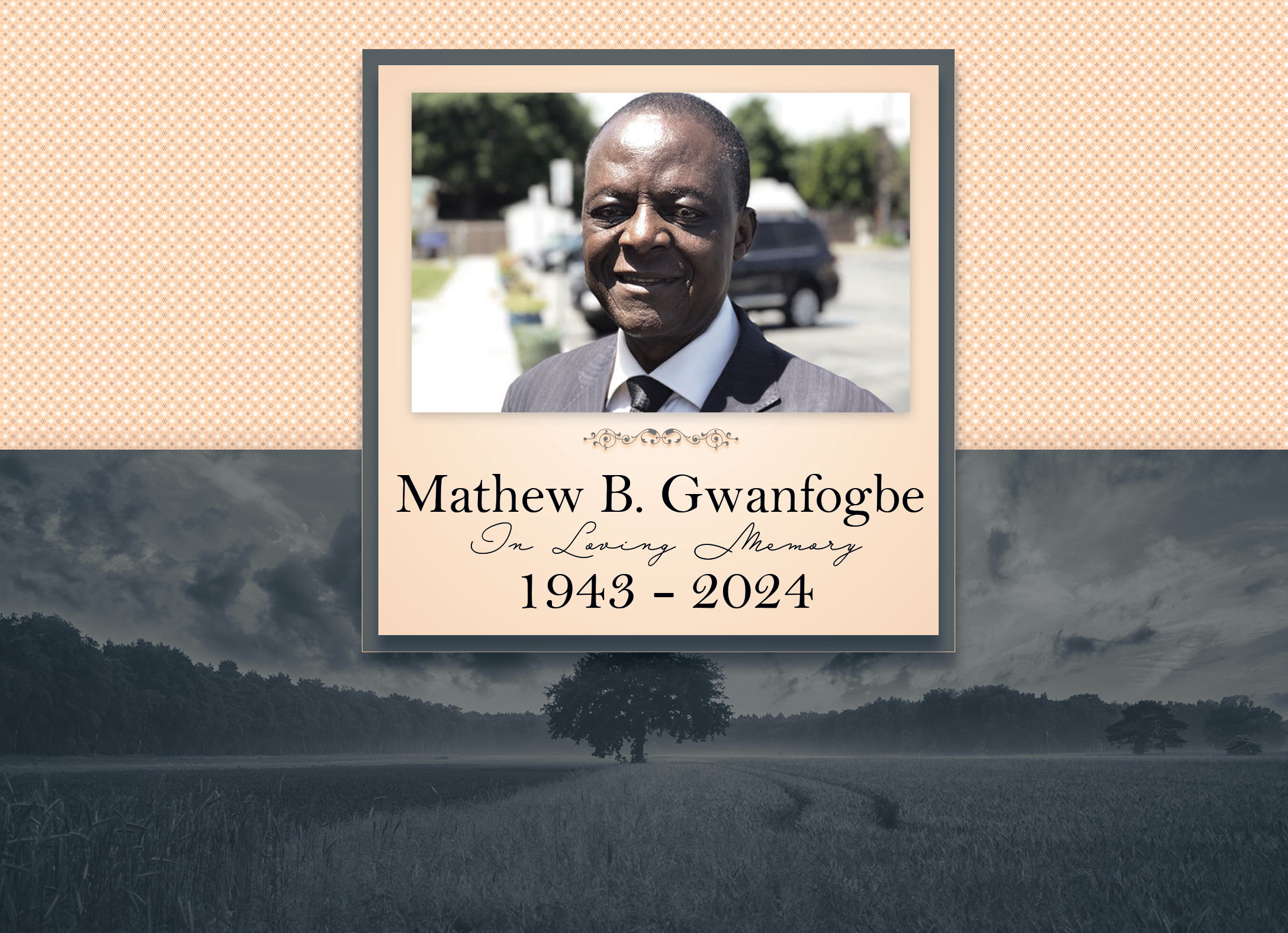 Professor Mathew B. Gwanfogbe