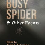 The Busy Spider